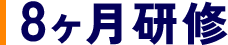 8ヶ月研修