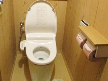 パナソニックのアラウーノV手洗いなしはスッキリタンクレスの節水トイレ