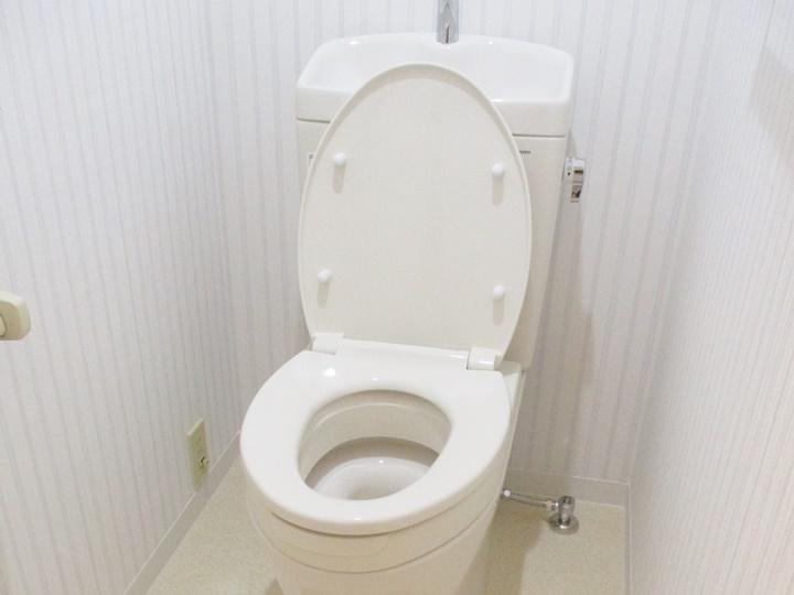 新しく交換したトイレはTOTOのピュアレストQRです。