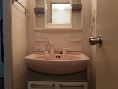 洗面化粧台は小さいので収納力がなく洗面ボウルがピンクで目立ちます　少し大きいサイズでスタイリッシュな洗面台にします