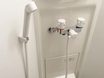 シンプルな水栓とコンパクトなシャワーなので、場所を取りません