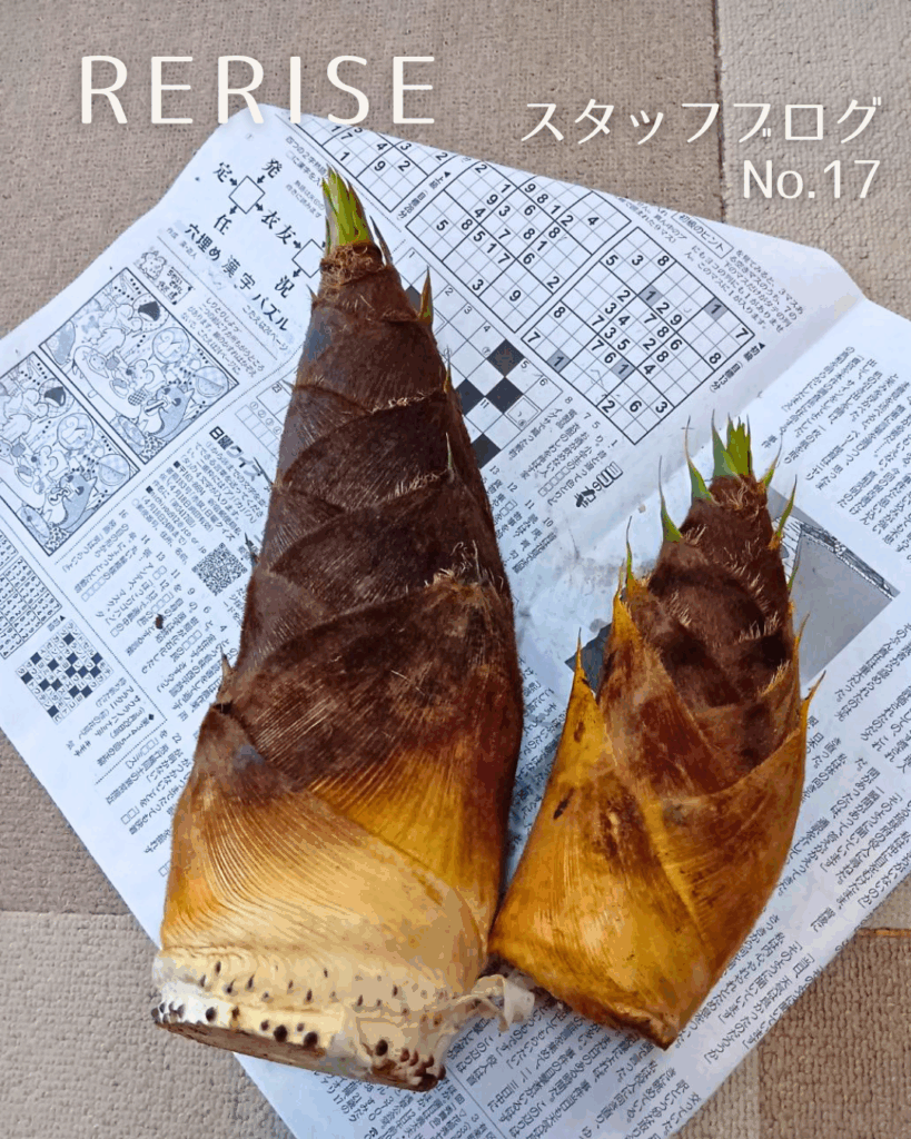 Instagram投稿画像
